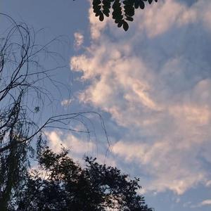 按摩师揉我⋯啊⋯嗯高潮
