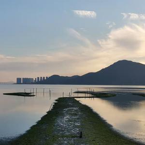 按摩师揉我⋯啊⋯嗯高潮
